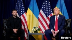 Дональд Трамп и Владимир Зеленский 