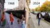 Image result for мур