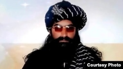 نور ولی محسود، رهبر طالبان پاکستان