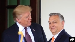 Президент США Дональд Трамп (слева) приветствует премьер-министра Венгрии Виктора Орбана в Белом доме в Вашингтоне. США, 13 мая 2019 года